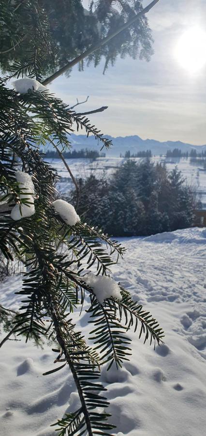 Apartament Nad Tatrzanska Pasieka ビャウィ・ドゥナイェツ エクステリア 写真